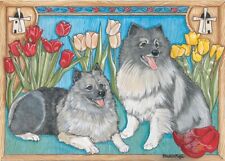 Keeshond Blank Note Card picture