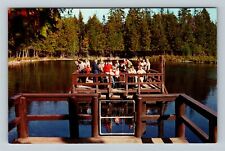 Manistique MI-Michigan, Palms Book Park, Springs, Visitors Raft Vintage Postcard picture