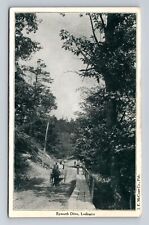 Ludington MI-Michigan, Buggy Ride Down Epworth Drive, Antique Vintage Postcard picture