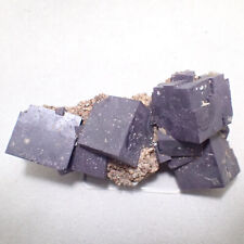 Fluorite on Sphalerite, Annabel Lee Mine, Harris Creek District, Illinois picture