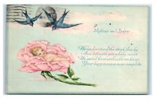 Postcard Mother and Baby birds small baby in rose flower 1920 T27 picture