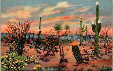 Daybreak On The Desert  Tucson Phoenix Arizona Postcard picture