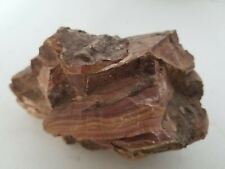Wonderstone Banded Rhyolite Stone Large Raw Natural Mineral Specimen Nevada picture