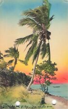 Miami Florida, Beautiful Biscayne Bay Shoreline, Vintage Hand Colored Postcard picture