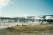 Yellowstone Winter FOUND PHOTOGRAPH Color  Original Snapshot 93 4 H picture