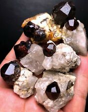 115g 7PC New Find Raw Natural rare Garnet crystal specimens Z890 picture