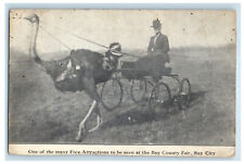 c1940's Ostrich Carriage Scene, One of Free Attractions in Bay City MI Postcard picture