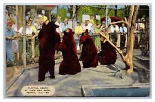 Peoria, IL Illinois, At Glen Oak Park, Playful Bears, Linen Postcard  picture