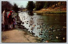 Postcard Forest Park Porter Lake Springfield Massachusetts picture