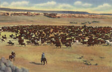 Cows/Cattle A Cattle Roundup On The Range Sanborn Souvenir Co. Linen Postcard picture