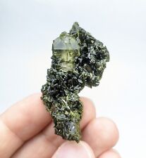 Natural Epidote cluster combined with Quartz crystal (Epidote included) from Pak picture