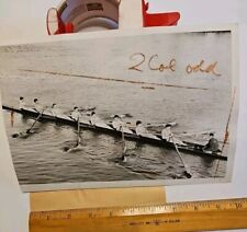 Vintage Photo 1939 Manhatten College Rowing Crew Eights picture