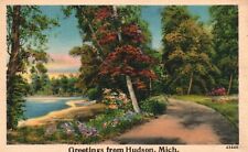 Postcard MI Greetings from Hudson Wooded Road by Water 1935 Vintage PC f8398 picture