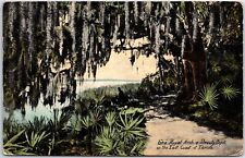 VINTAGE POSTCARD ROYAL ARCH ON THE EAST COAST OF FLORIDA c. 1900 RARE PUBLISHER picture