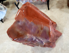 970g Petrified Wood picture