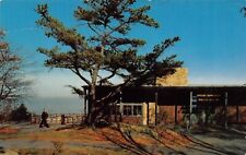 Luray VA Virginia Skyland Resort Hotel Restaurant Drive 1970s Vtg Postcard O3 picture