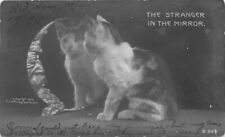 1906 Pretty Cat looking at self in mirror Rotograph RPPC Photo Postcard 22-10771 picture