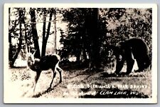 Postcard RPPC Deer with a Bear Behind on the Shore of Clam Lake Wisconsin    F24 picture