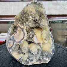 Natural Dragon Septarian Geode Egg Quartz Crystal Rock Reiki Healing 2297G picture