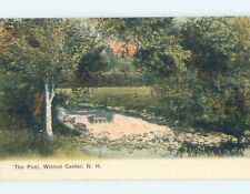 Pre-1907 NATURE SCENE Wilmot Center In New London - Near Concord NH 6/7 A1480 picture