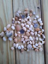 HUGE LOT 102 LAKE ERIE TUMBLED SURF WHITE LUCKY STONES STONE ROCKS FOSSIL CRAFTS picture