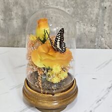 Vintage 80s Domed Glass Butterfly Speciman Display Nature Insects Art Taxidermy picture