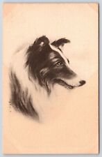 Collie Pet Dog Black And White Portrait Painting Artwork Postcard picture