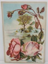 The Fair 85 Main St Lockport NY Victorian Trade Card Flowers Red Pink Roses  picture