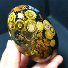 Rare 269G Natural Inner Mongolia Gobi Eye Agate Geode Collection Healing  B378 picture