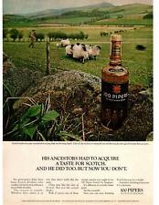 1967 Seagram's 100 Pipers Scotch Whisky Flock Of Sheep Sheephearder Print Ad picture