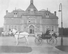 Original Photo 1900s Museum of Natural History Roger Williams Park Providence RI picture