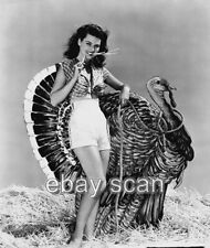 ACTRESS DUSTY ANDERSON   LEGGY CHEESECAKE  THANKSGIVING   8X10 PHOTO picture