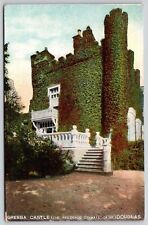 Isle Of Wight Great Britain Douglas Greeba Castle Historic Landmark DB Postcard picture