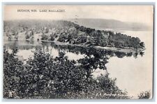 Hudson Wisconsin WI Postcard Bird's Eye View Of Lake Mallalieu 1910 Antique picture
