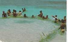 Pacific Ocean, Micronesia, Net Fishing, Fishermen - circa 1960s picture