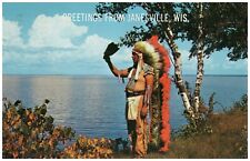 Native Chippewa Chief in Headdress w/ Hawk Wing Janesville WI 1965 Postcard  picture