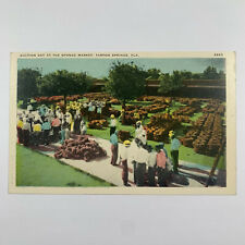 Postcard Florida Tarpon Springs FL Sponge Market Auction 1930s White Border picture