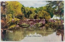 Vintage Niagara Falls New York NY Rustic Bridge to Willow Island Postcard picture