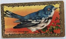 1911 T43 American Tobacco Bird Series Mecca Cigarettes Cerulean Warbler picture
