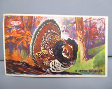 Vintage Postcard Shoot Powders Dupont Ruffed Grouse Unused Advertising picture