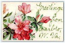 1909 Greetings From Scarbro West Virginia WV, Flowers Embossed Posted Postcard picture