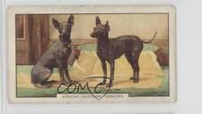 1938 Gallaher Dogs Series 2 Tobacco African Hairless Terriers #37 a8x picture