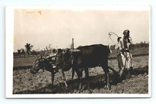 a6 RPPC India ? Farmer w/ Ox plowing 159a picture
