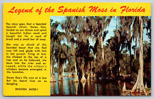 Postcard Legend of The Spanish Moss in Florida H23 picture