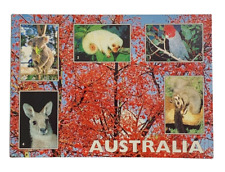 Australia Postcard MultiView Koala Kangaroos Beautiful Australians picture