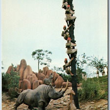 c1970s Walt Disney World, FL Trapped Safari Hunters African Rhinoceros Fla. A201 picture