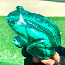 1.54LB Natural glossy Malachite  Crystal  Handcarved frog mineral sample picture