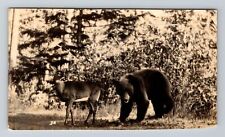 Waupaca WI-Wisconsin, RPPC of Bear And Deer, Vintage c1945 Postcard picture