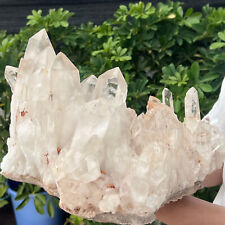 21.38LB Large Natural Clear White Quartz Crystal Cluster Energy Healing Specimen picture