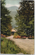 Vintage Postcard 1913 Mount Liberty Road to Flume Franconia Notch NH Scenic picture